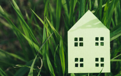 Come trasformare la casa in un’oasi sostenibile