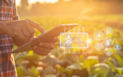 Economia circolare e agrifood: i punti di riferimento